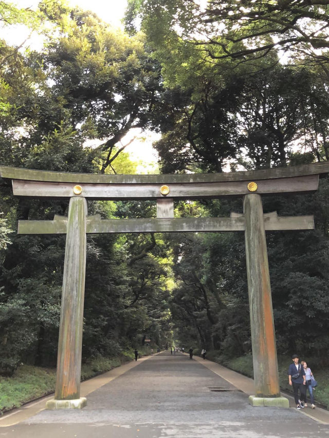 Tokyo on a Budget: Sushi, Shrines & Street Life