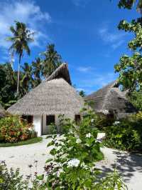 Fihalhohi Island Resort — The Maldives with Soul (Not Perfection, But Heart)