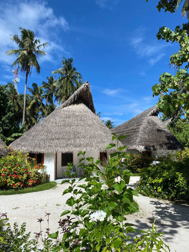 Fihalhohi Island Resort — The Maldives with Soul (Not Perfection, But Heart)