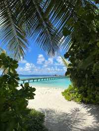 NH Collection Maldives Havodda Resort