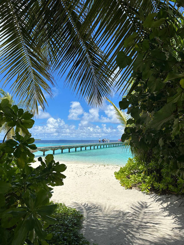 NH Collection Maldives Havodda Resort