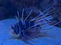 Wonders of Nature — A Day at Naturkundemuseum Karlsruhe 🇩🇪  