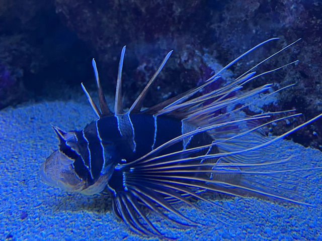 Wonders of Nature — A Day at Naturkundemuseum Karlsruhe 🇩🇪  