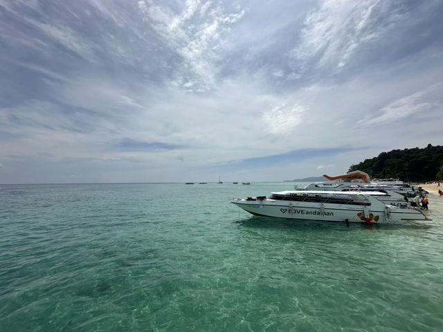 Захватывающее приключение на один день.