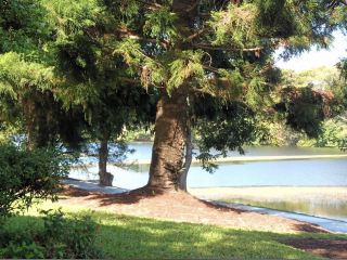 สวนพฤกษศาสตร์ประจำภูมิภาคแม็กเคย์