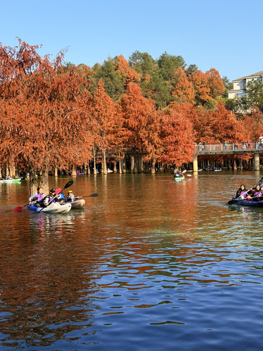 The Matcha lake! (Qingshan lake) | Trip.com Hangzhou