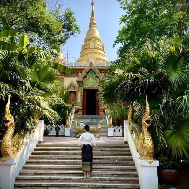 Xishuangbanna, Thailand of China 