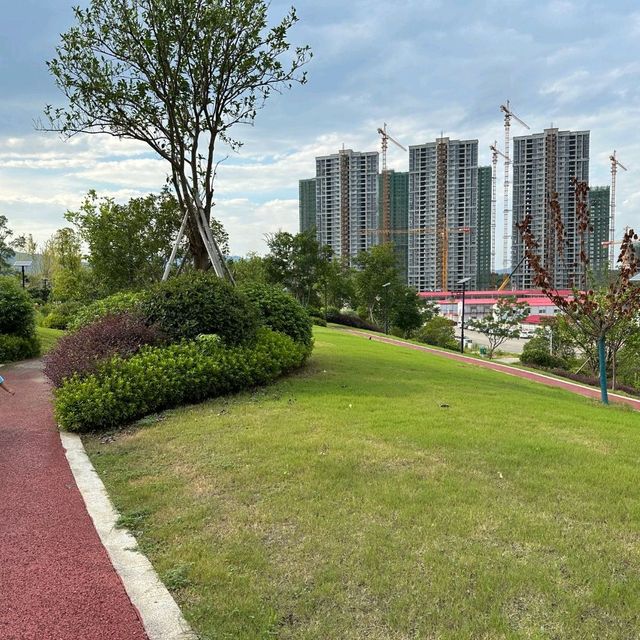 The hill park at the end of the city