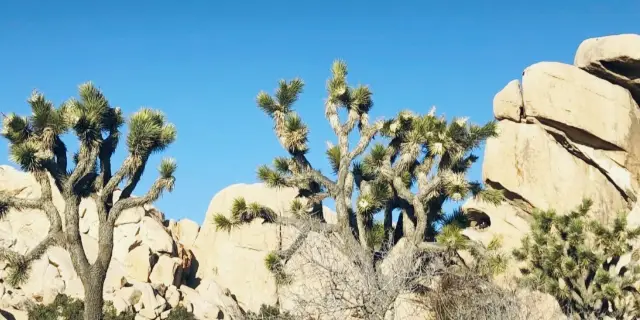 California