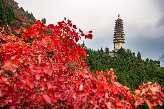 重庆の巫山、見逃せない一抹の赤