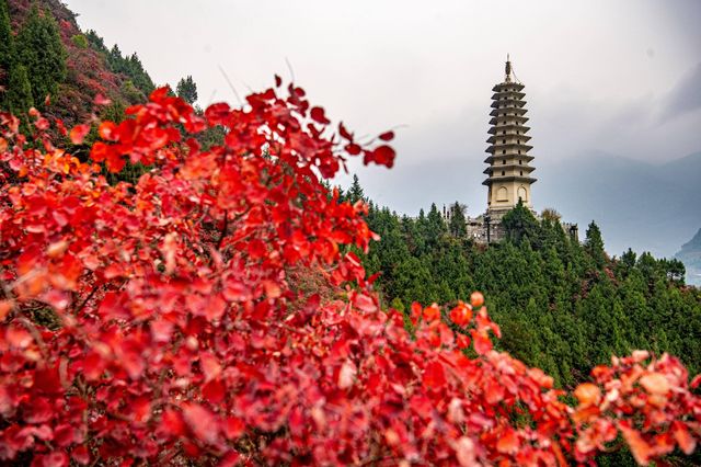 重慶巫山，不可錯過的一抹紅