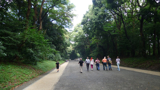東京核心區最大的都市綠地——明治神宮