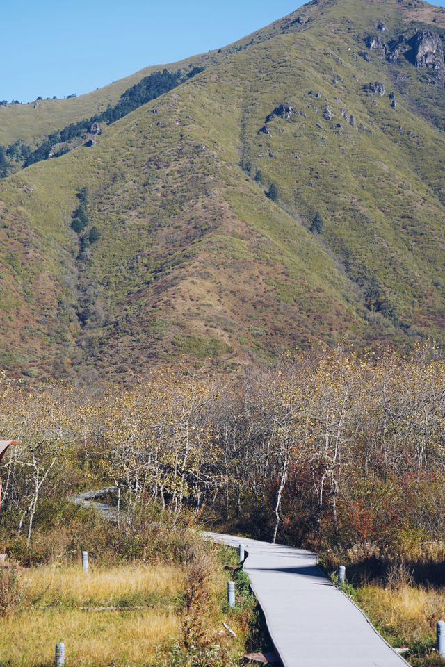 雅安孟獲城萬畝高山草甸，正值秋