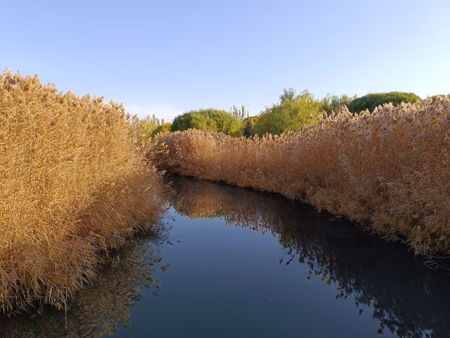 遇見多彩的秋天，張掖國家濕地公園