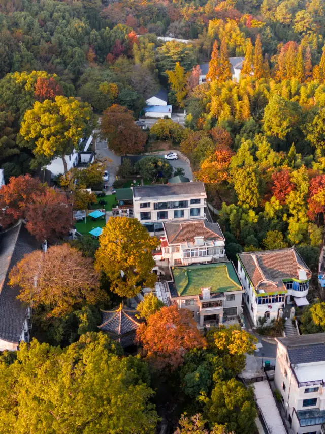 Deep autumn in Yushan, Changshu | Do you think it's beautiful? The Xingfu Temple under my lens