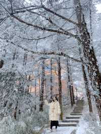 這個冬天總要去一次峨眉山看雪景吧