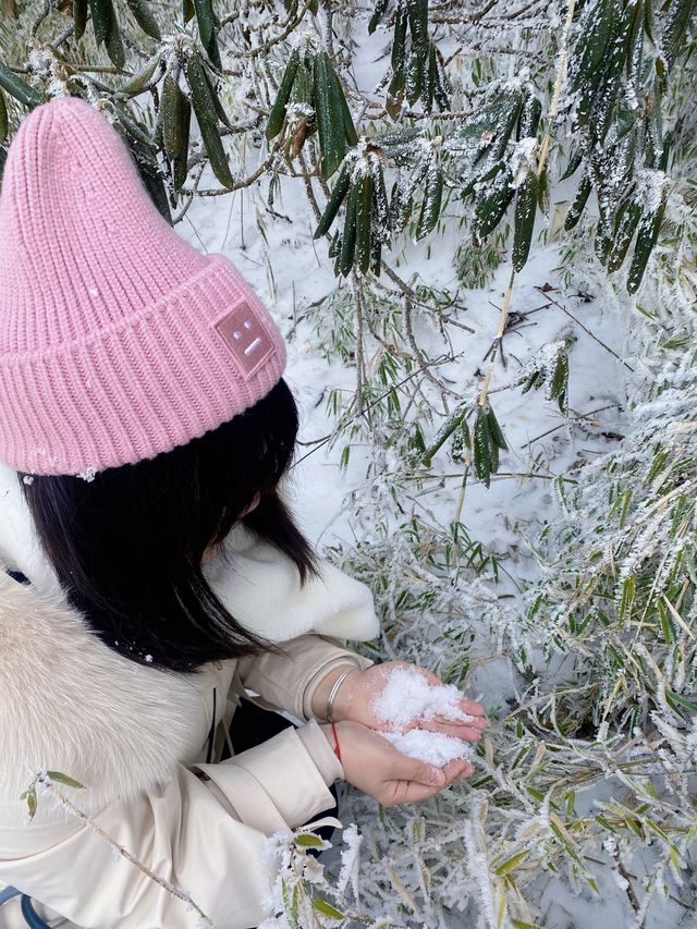 這個冬天總要去一次峨眉山看雪景吧