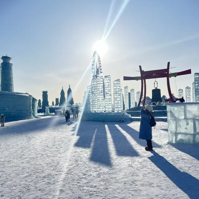 Harbin snow ❄️ & ice 🧊 world 🌍 
