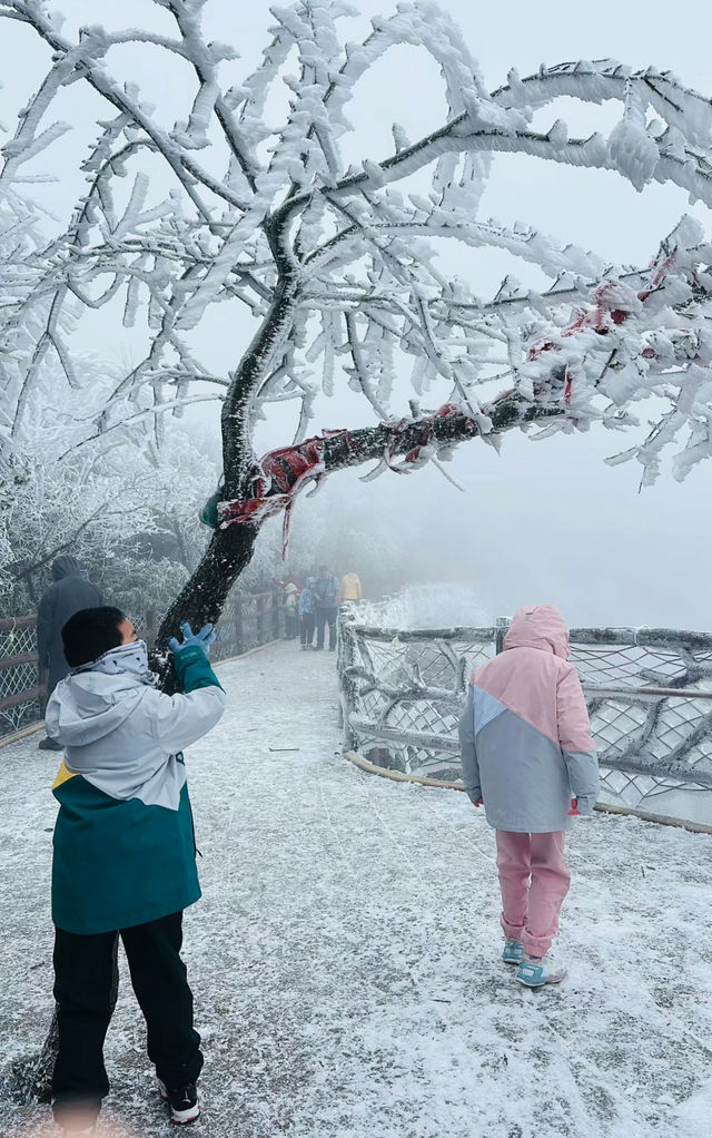 就在下週 廣州周邊看雪｜保姆級攻略