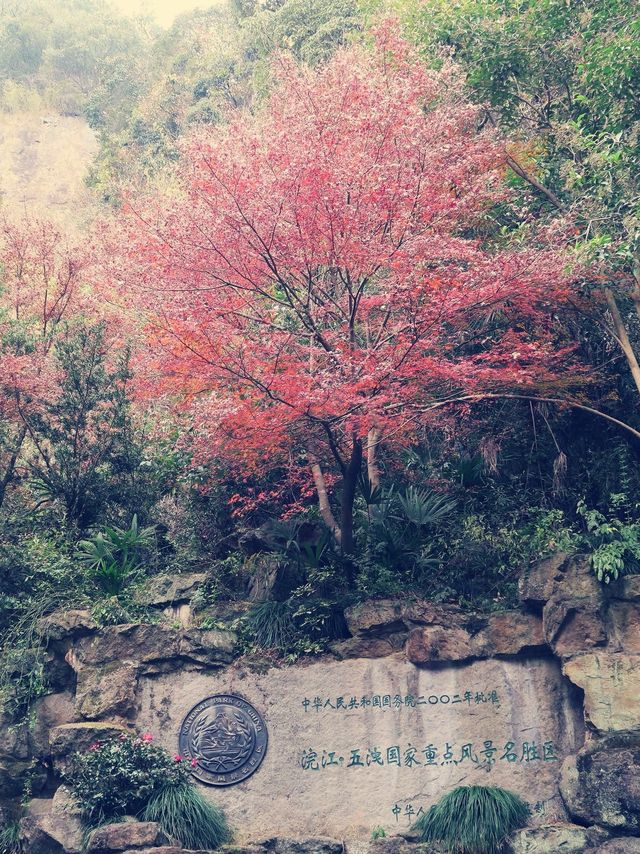 冬遊諸暨，西施故里，一方水土，養一方美人