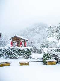 2023年寧波的第一場雪就在本週趕快衝