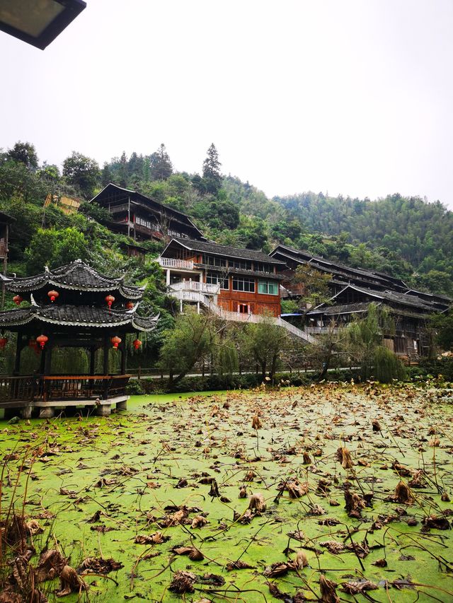 10月12日早上吃完了本地特色早餐就出發了，一路上漸漸有了秋天的顏色，還有一些晚稻金黃黃的，道路的兩