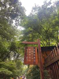 福至心靈