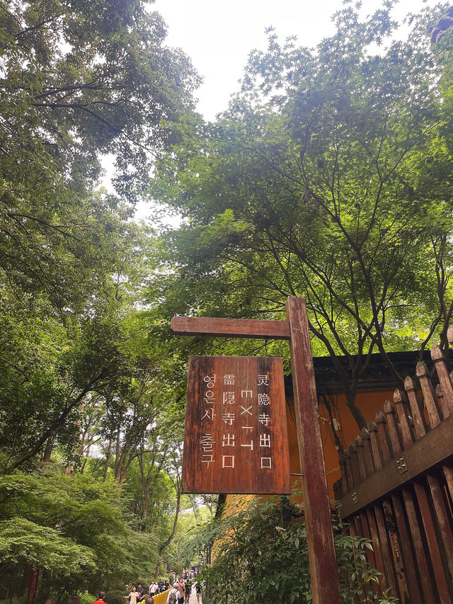福至心靈