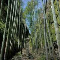 良山駱駝峰風景秀麗迷人值得去玩