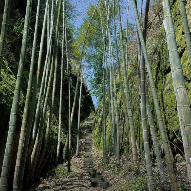 良山駱駝峰風景秀麗迷人值得去玩