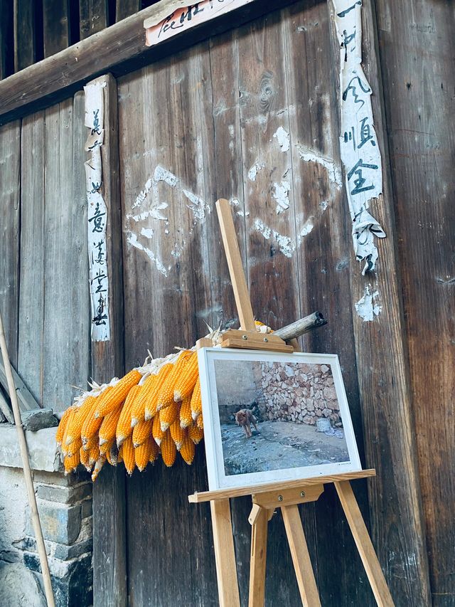 在廣西來賓 | 古鎮的黃昏與日暮