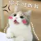 Stellar love sys