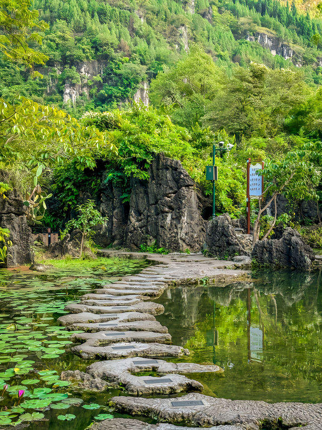 貴州旅遊｜關於黃果樹瀑布的遊覽路線