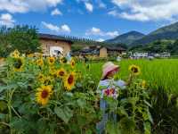 綠樹村邊合，青山郭外斜