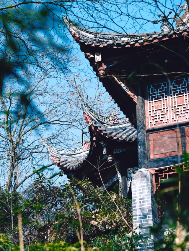 都江堰·春節期間の一日旅行