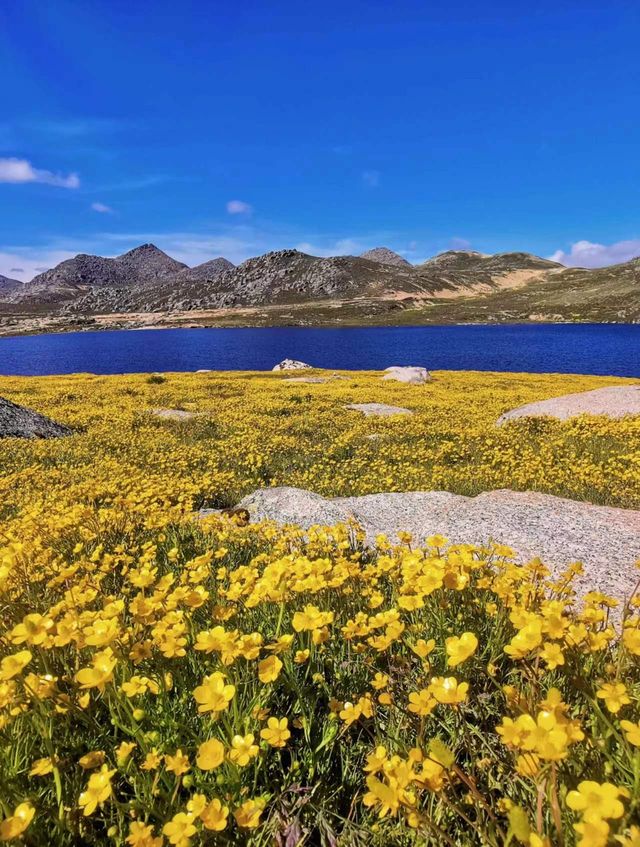 宛如仙境的神仙山脈