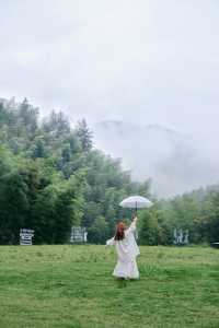 杭州1h森系露營地在竹林秘境看雲霧繚繞