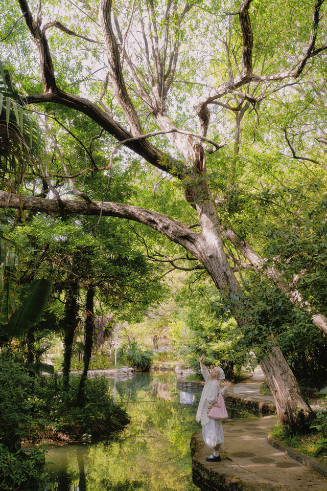 昆明這個公園也太美了！好像愛麗絲的夢境！