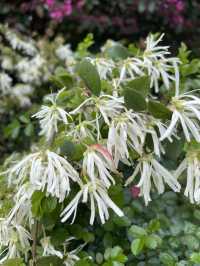 長沙寶藏花園——望月公園