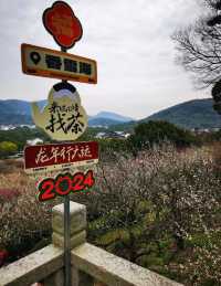十里梅花香雪海🌸快來蘇州香雪海解鎖滿園「梅」好時光！！