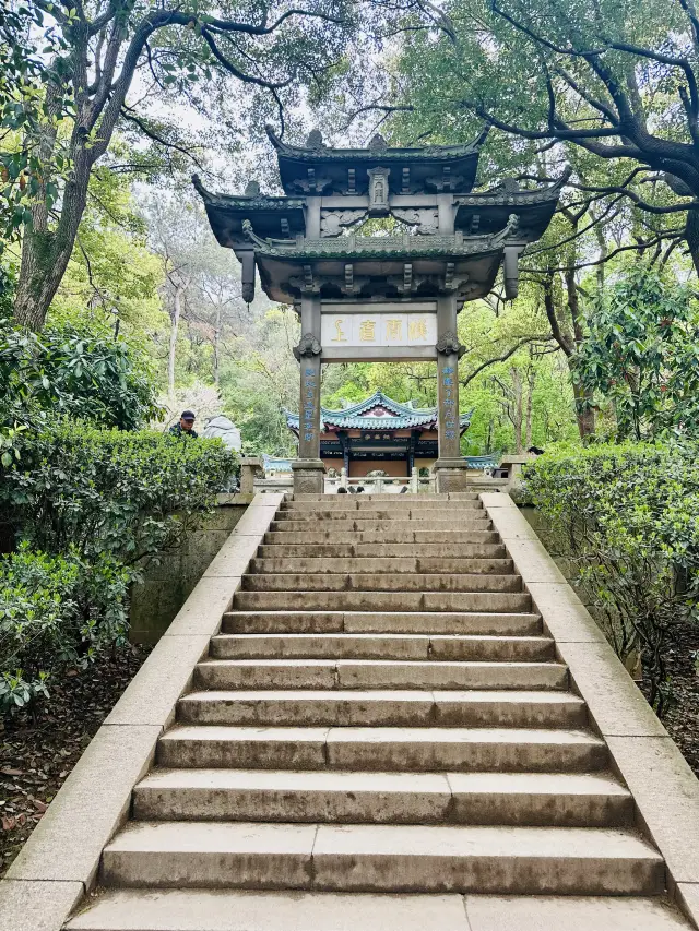 Travelogue of the Fairy Island in Taihu Lake