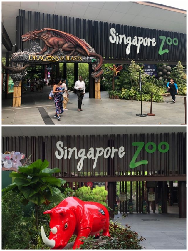 萌娃必體驗動植物園——新加坡動物園