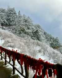 葛仙村：總有一場雪，為你而來