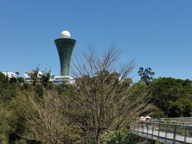 健康步道雲海線～狐尾山賞櫻