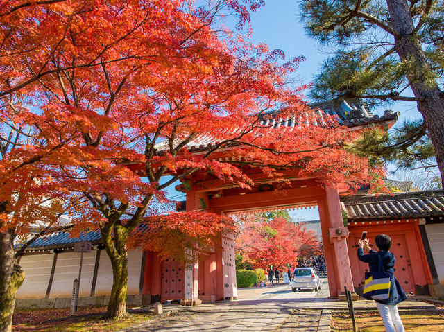 日本旅行|去日本看楓葉不能錯過的地方