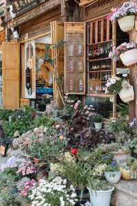 This millennia-old marketplace❣️ is surprisingly the most serene haven in Lijiang.