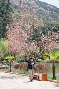 Welcome to the historical and cultural heart of Lijiang's most beautiful park, the Wufenglou of Fuguo Temple🌸.