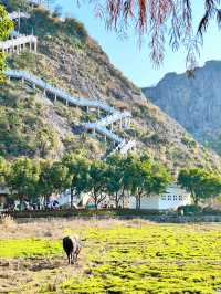 春日旅途｜温州賞春必去的私藏登山路線