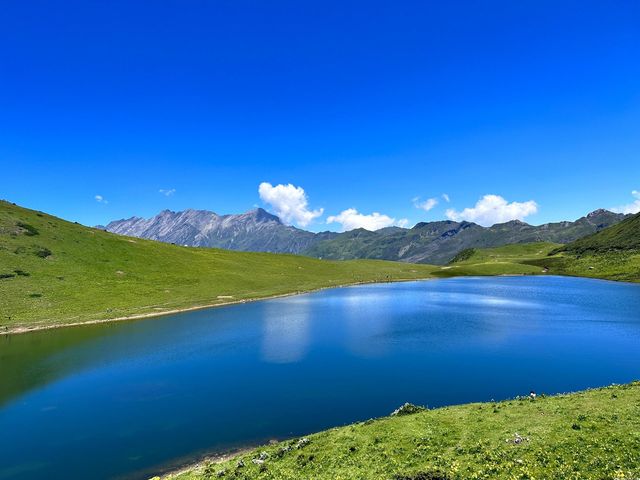 夏日花海：九頂山