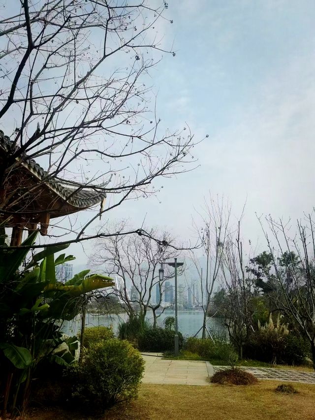 周末踏青賞花，那就來福州這個最大的綜合性公園吧！